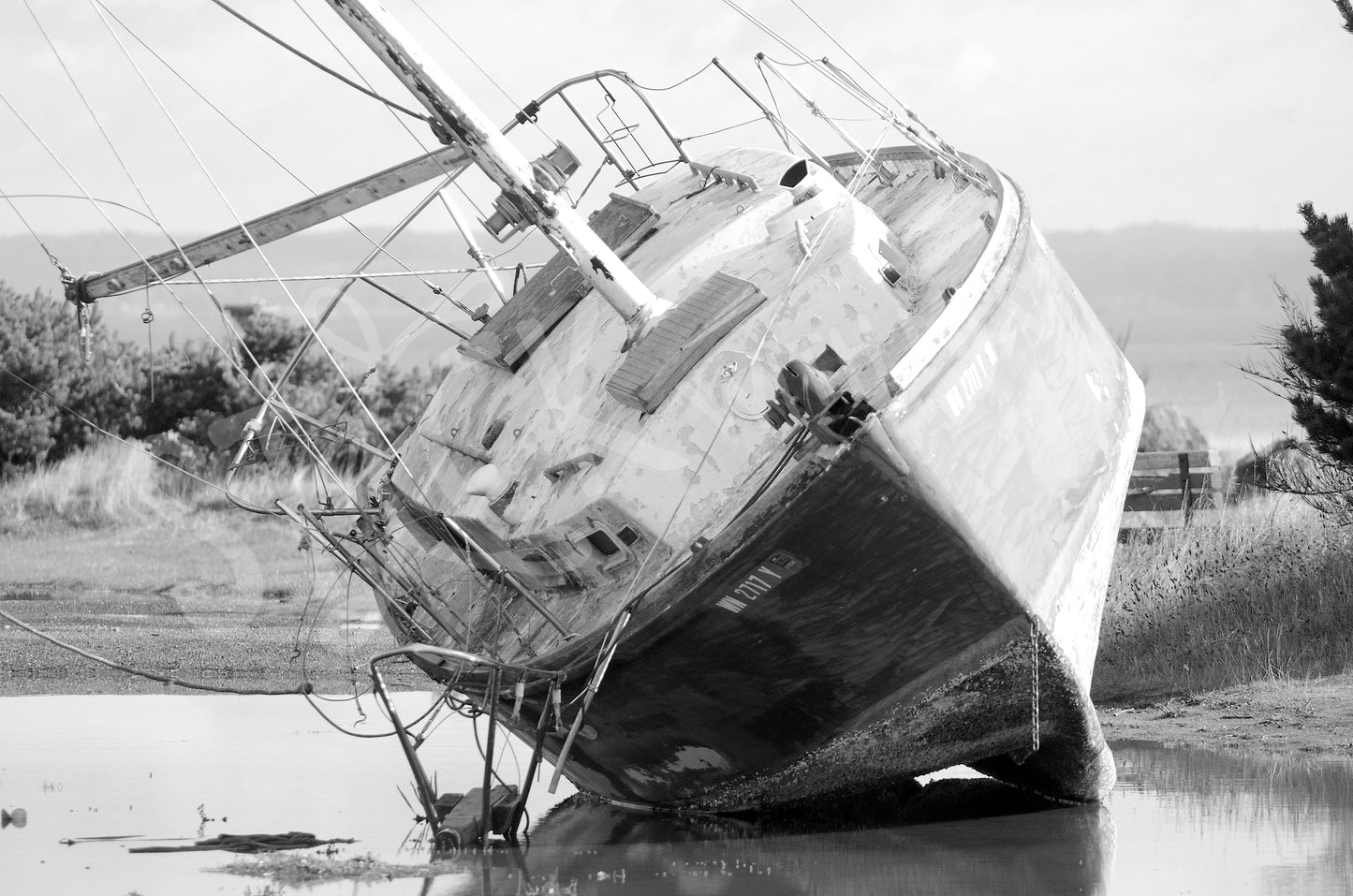 Final Destination Photo Print