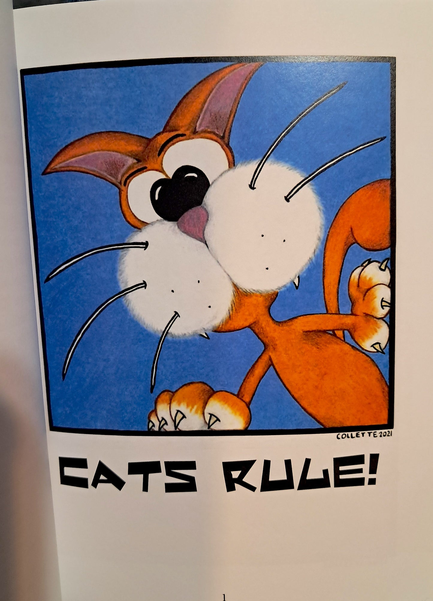 Magic From A Box Illustration Book