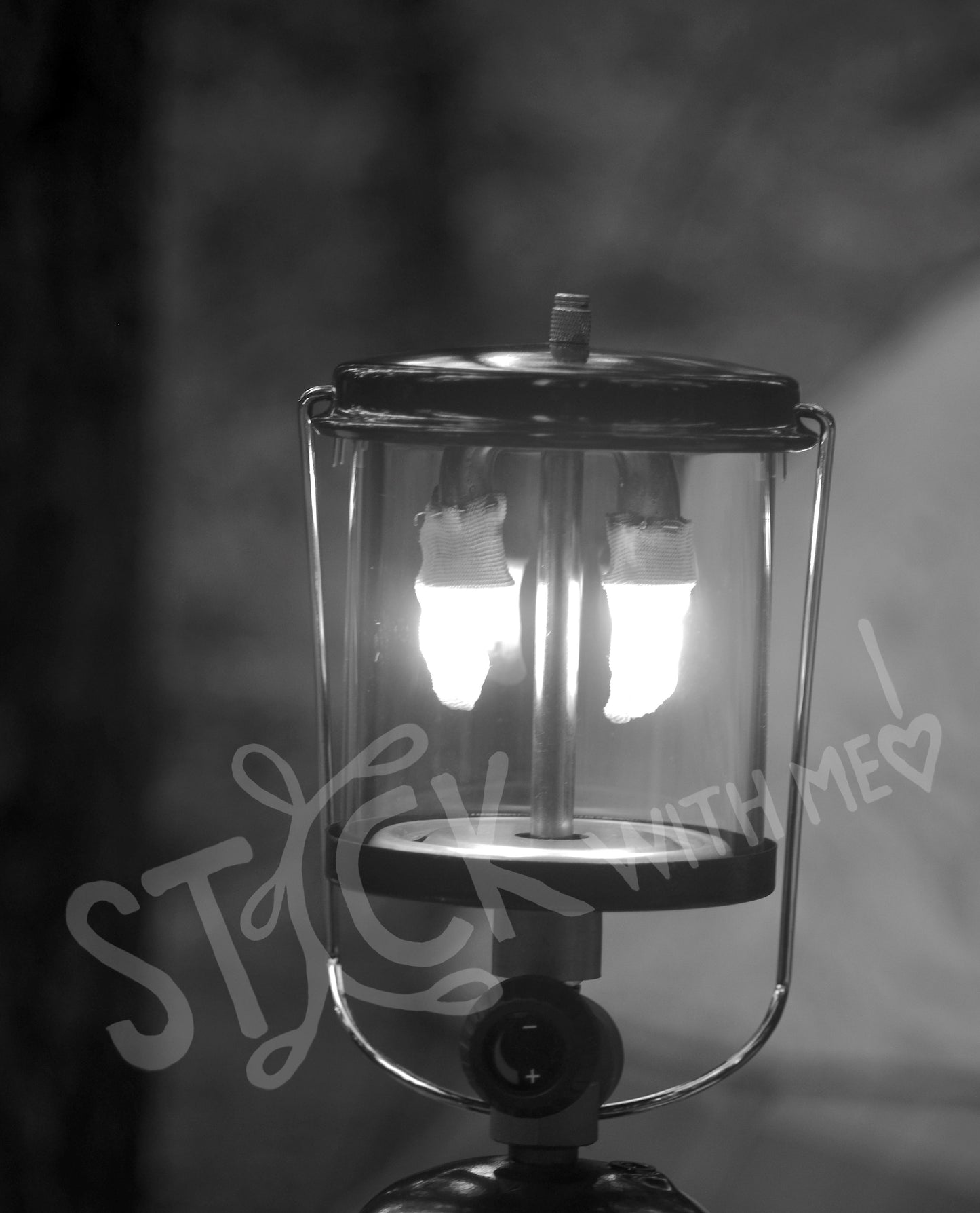 Please Take Me Camping Photo Print