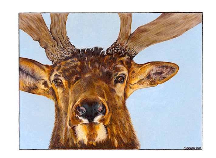 The Last Stare 8X10 Art Print